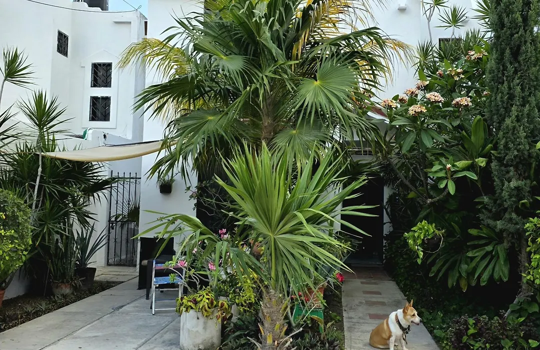 Tu Casa En El Caribe-1